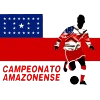 Brazilian Amazonas Division 1