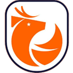 Chilean Primera Division