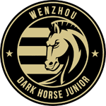 Wenzhou Professional Football Club